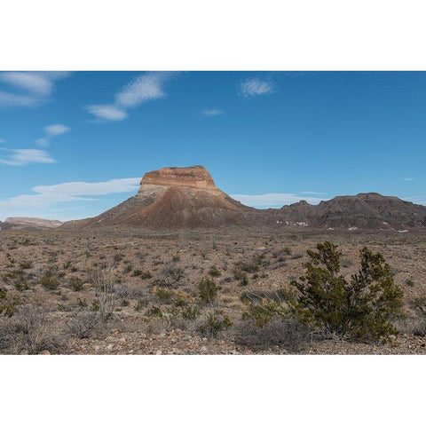Scenery in Big Bend National Park, TX White Modern Wood Framed Art Print by Highmith, Carol