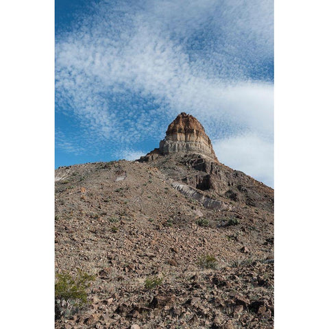 Scenery in Big Bend National Park, TX White Modern Wood Framed Art Print by Highmith, Carol