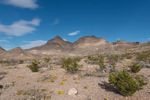 Scenery in Big Bend National Park, TX White Modern Wood Framed Art Print with Double Matting by Highmith, Carol