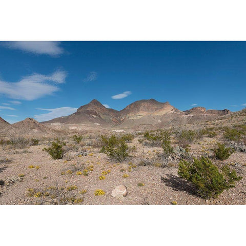 Scenery in Big Bend National Park, TX White Modern Wood Framed Art Print by Highmith, Carol