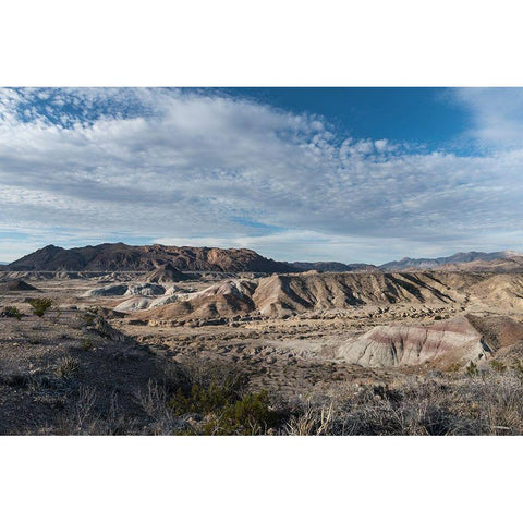 Scenery in Big Bend National Park, TX White Modern Wood Framed Art Print by Highmith, Carol