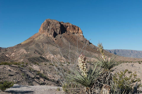 Scene from Big Bend National Park in Brewster County, TX Black Ornate Wood Framed Art Print with Double Matting by Highmith, Carol