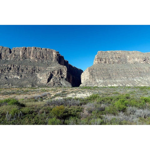 Scene from Big Bend National Park in Brewster County, TX White Modern Wood Framed Art Print by Highmith, Carol