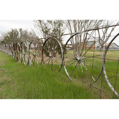 A fence made of wagon wheels near Schulenburg in Fayette County, TX White Modern Wood Framed Art Print by Highmith, Carol