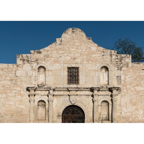 Doorway to the Alamo, an 18th-century mission church in San Antonio, TX White Modern Wood Framed Art Print by Highmith, Carol
