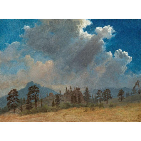 Fir Trees and Storm Clouds Gold Ornate Wood Framed Art Print with Double Matting by Bierstadt, Albert