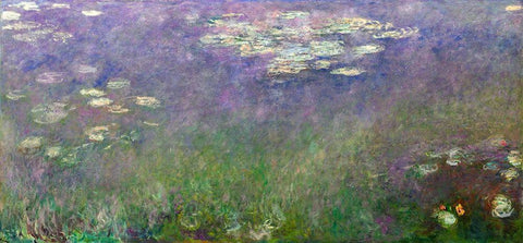 Water Lilies Agapanthus White Modern Wood Framed Art Print with Double Matting by Monet, Claude