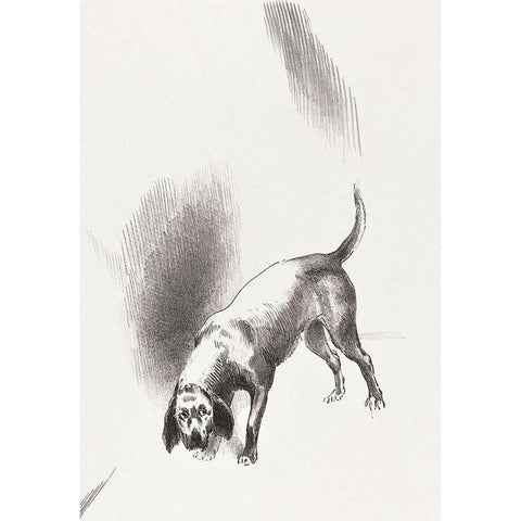 The Dog Black Modern Wood Framed Art Print by Redon, Odilon