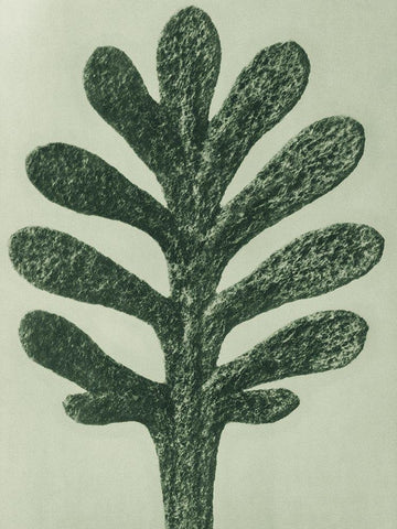 Achillea Umbellata (Yarrow) White Modern Wood Framed Art Print with Double Matting by Blossfeldt, Karl