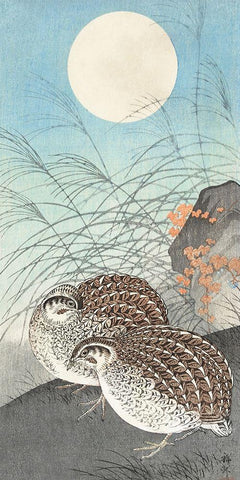 Two quails at full moon White Modern Wood Framed Art Print with Double Matting by Koson, Ohara