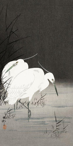 Two egrets in the reeds White Modern Wood Framed Art Print with Double Matting by Koson, Ohara