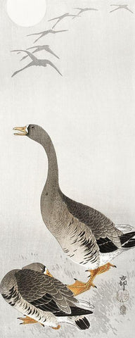 Two geese White Modern Wood Framed Art Print with Double Matting by Koson, Ohara