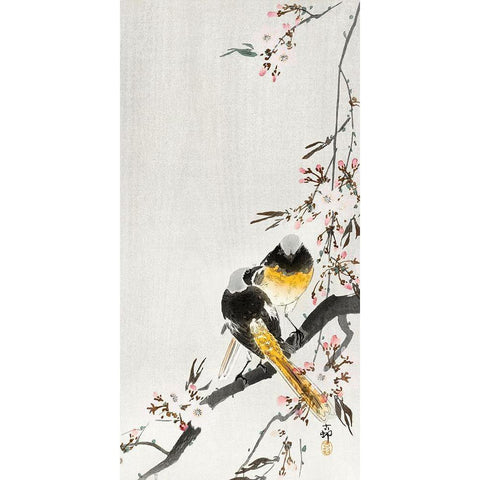 Two sable red tails with cherry blossom Gold Ornate Wood Framed Art Print with Double Matting by Koson, Ohara