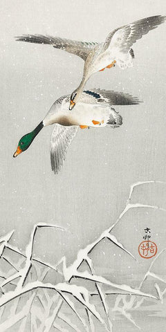 Two wild ducks in flight White Modern Wood Framed Art Print with Double Matting by Koson, Ohara