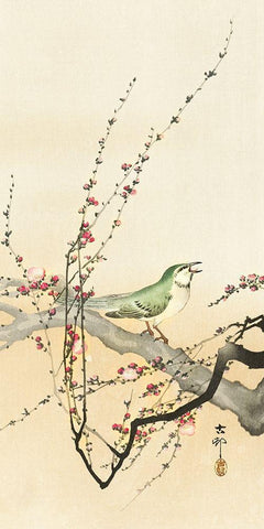 Songbird and plum blossom Black Ornate Wood Framed Art Print with Double Matting by Koson, Ohara