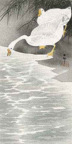 Geese on the shore Black Ornate Wood Framed Art Print with Double Matting by Koson, Ohara