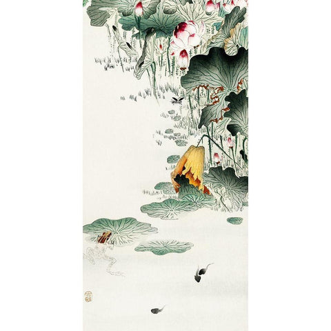Frog and tadpoles White Modern Wood Framed Art Print by Koson, Ohara