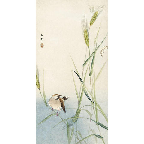 Bird and butterfly Black Modern Wood Framed Art Print with Double Matting by Koson, Ohara