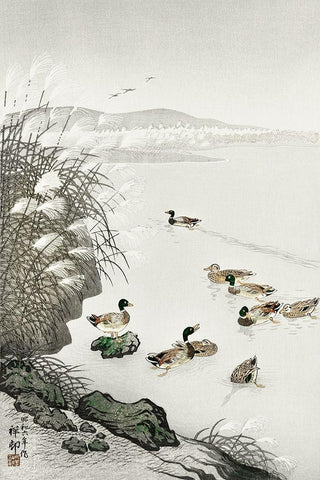 Ducks in the water  White Modern Wood Framed Art Print with Double Matting by Koson, Ohara