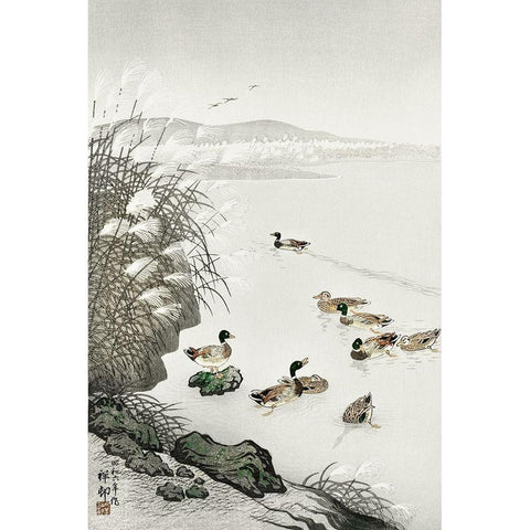 Ducks in the water Black Modern Wood Framed Art Print with Double Matting by Koson, Ohara