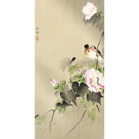 Bird and caterpillar Gold Ornate Wood Framed Art Print with Double Matting by Koson, Ohara