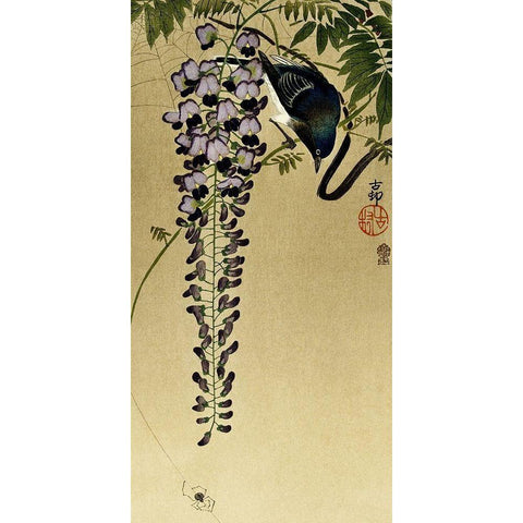 Flycatcher at wisteria Black Modern Wood Framed Art Print with Double Matting by Koson, Ohara