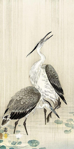 Two herons in the rain Black Ornate Wood Framed Art Print with Double Matting by Koson, Ohara