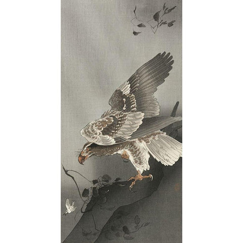 Eagle lurking at a prey Gold Ornate Wood Framed Art Print with Double Matting by Koson, Ohara