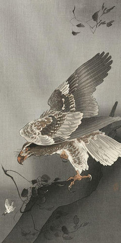 Eagle lurking at a prey Black Ornate Wood Framed Art Print with Double Matting by Koson, Ohara