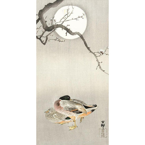 Ducks at full moon Black Modern Wood Framed Art Print with Double Matting by Koson, Ohara