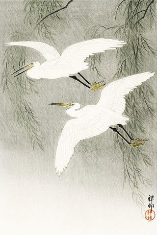 Little Egrets in flight White Modern Wood Framed Art Print with Double Matting by Koson, Ohara