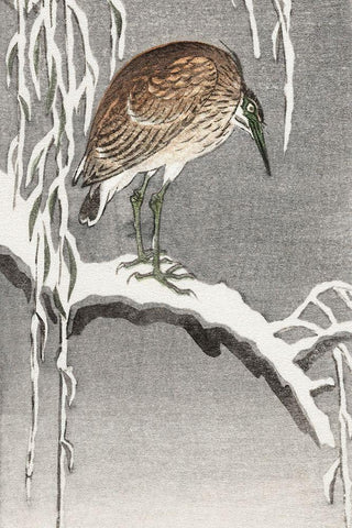 Heron on snowy tree branch White Modern Wood Framed Art Print with Double Matting by Koson, Ohara