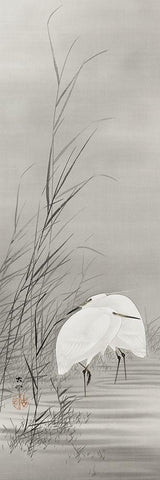 Egrets in a swamp White Modern Wood Framed Art Print with Double Matting by Koson, Ohara