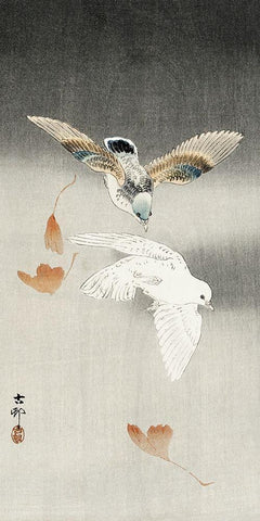 Two pigeons with falling ginkgo leaves White Modern Wood Framed Art Print with Double Matting by Koson, Ohara