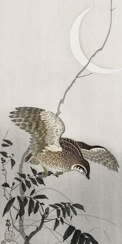 Quail at moon sickle  Black Ornate Wood Framed Art Print with Double Matting by Koson, Ohara