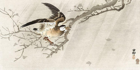 Gray starling in storm White Modern Wood Framed Art Print with Double Matting by Koson, Ohara