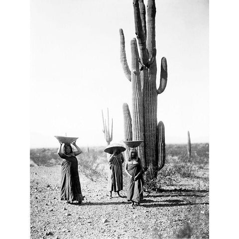 Saguaro gatherers, Maricopa, Arizona, ca. 1907 Gold Ornate Wood Framed Art Print with Double Matting by Curtis, Edward