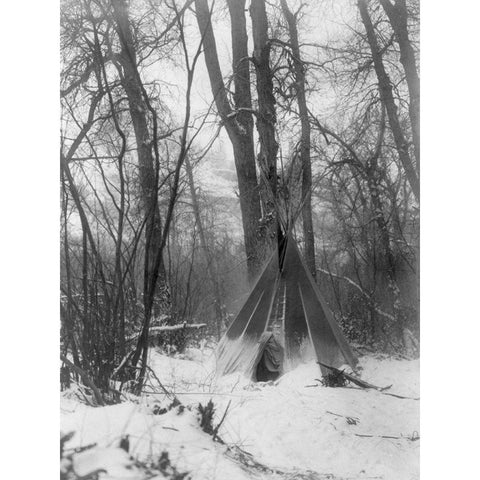 In the forest Black Modern Wood Framed Art Print with Double Matting by Curtis, Edward
