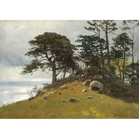 Cypress Point, Monterey Gold Ornate Wood Framed Art Print with Double Matting by Bierstadt, Albert