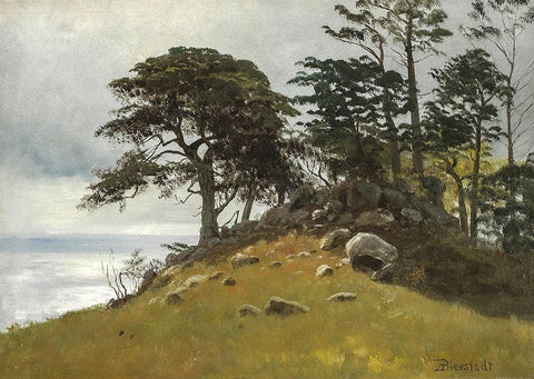 Cypress Point, Monterey White Modern Wood Framed Art Print with Double Matting by Bierstadt, Albert