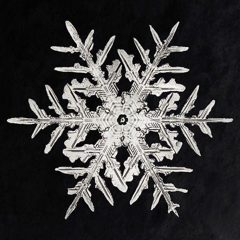 Snowflake 332 White Modern Wood Framed Art Print with Double Matting by Bentley, Wilson
