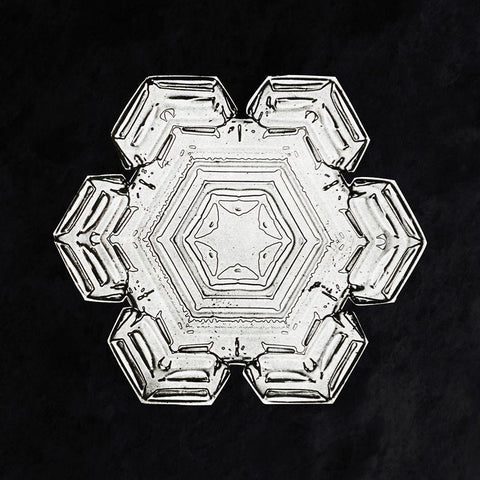 Snowflake 10 White Modern Wood Framed Art Print with Double Matting by Bentley, Wilson