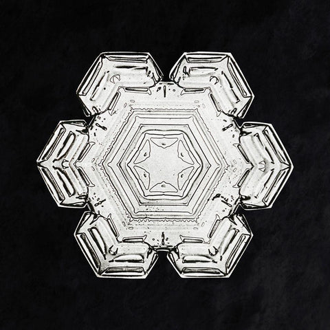 Snowflake 10 Black Modern Wood Framed Art Print with Double Matting by Bentley, Wilson