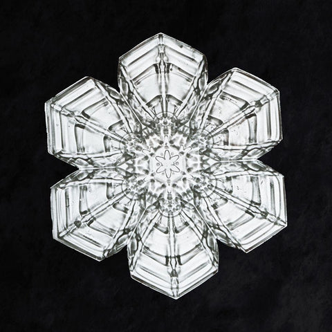 Snowflake 10A White Modern Wood Framed Art Print with Double Matting by Bentley, Wilson