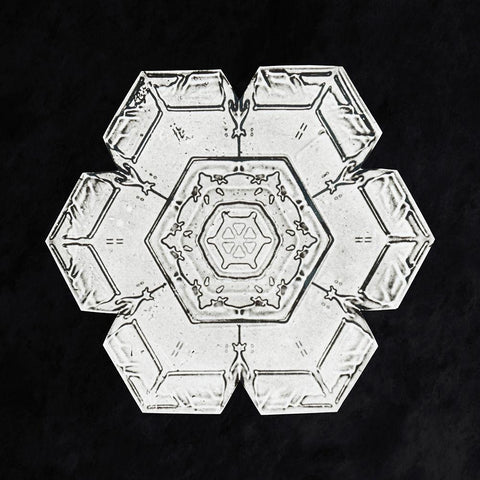 Snowflake 562 Black Modern Wood Framed Art Print by Bentley, Wilson