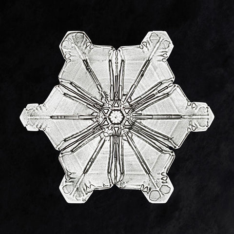 Snowflake 976 White Modern Wood Framed Art Print with Double Matting by Bentley, Wilson