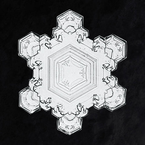 Snowflake 1205 White Modern Wood Framed Art Print with Double Matting by Bentley, Wilson