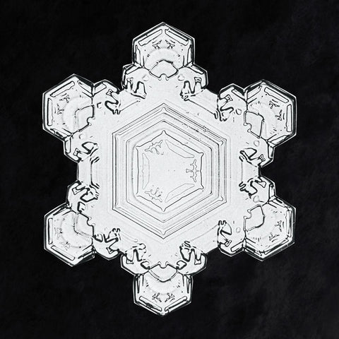 Snowflake 1205 Black Modern Wood Framed Art Print by Bentley, Wilson