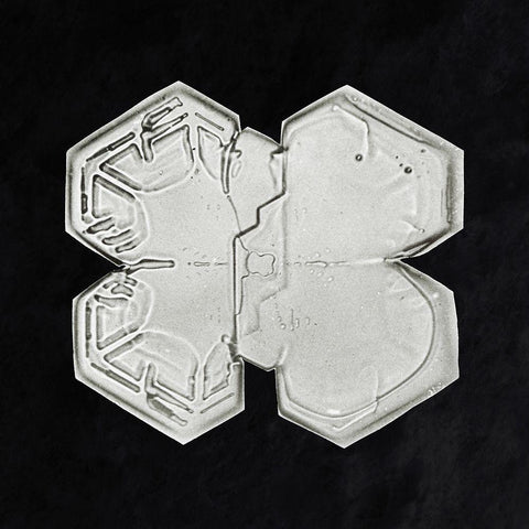 Snowflake 1225 Black Modern Wood Framed Art Print by Bentley, Wilson