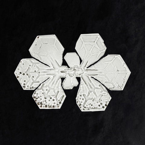Snowflake 349 Black Modern Wood Framed Art Print by Bentley, Wilson